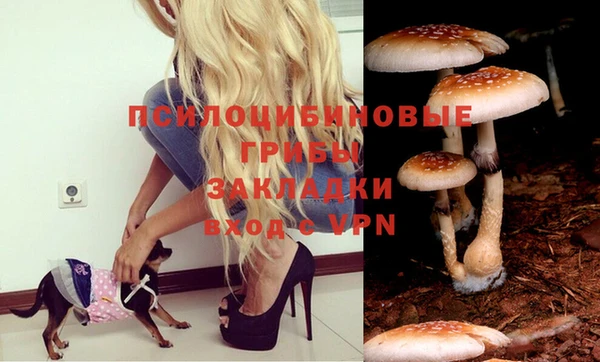 не бодяженный Арсеньев