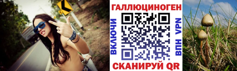 цена наркотик  мега ССЫЛКА  Псилоцибиновые грибы прущие грибы  Удомля 